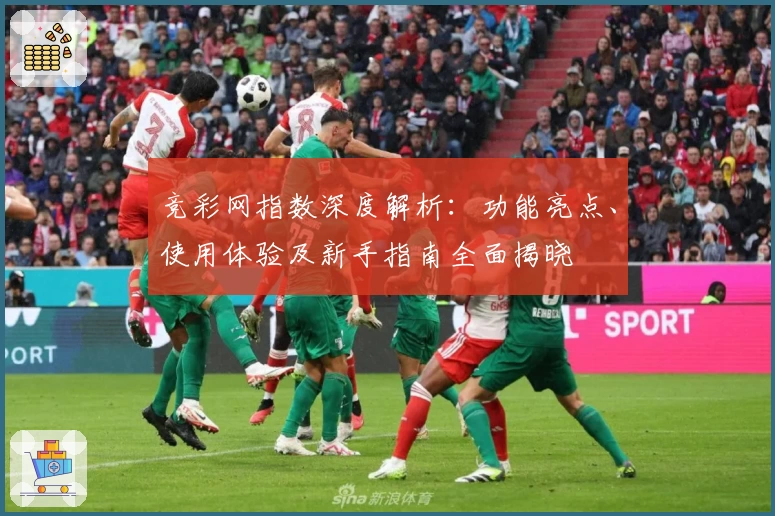 竞彩网指数深度解析：功能亮点、使用体验及新手指南全面揭晓