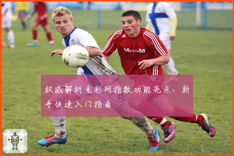 权威解析竞彩网指数功能亮点，新手快速入门指南