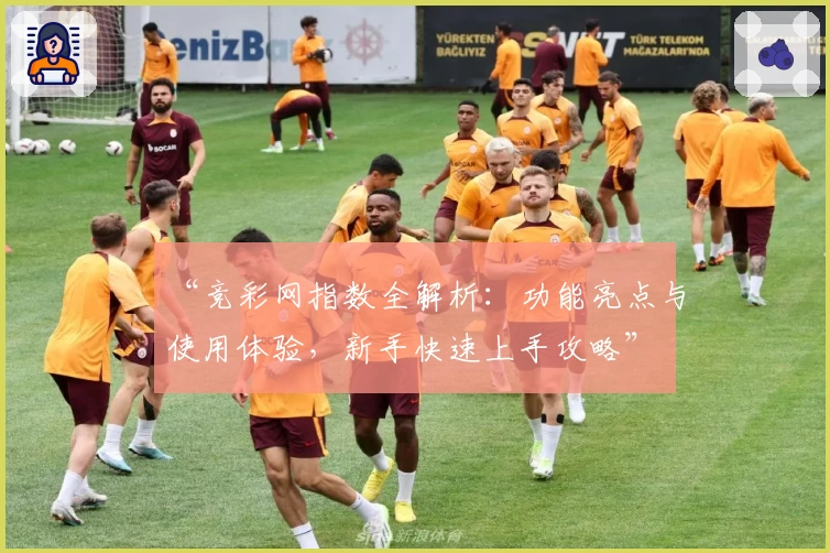 “竞彩网指数全解析:功能亮点与使用体验,新手快速上手攻略”