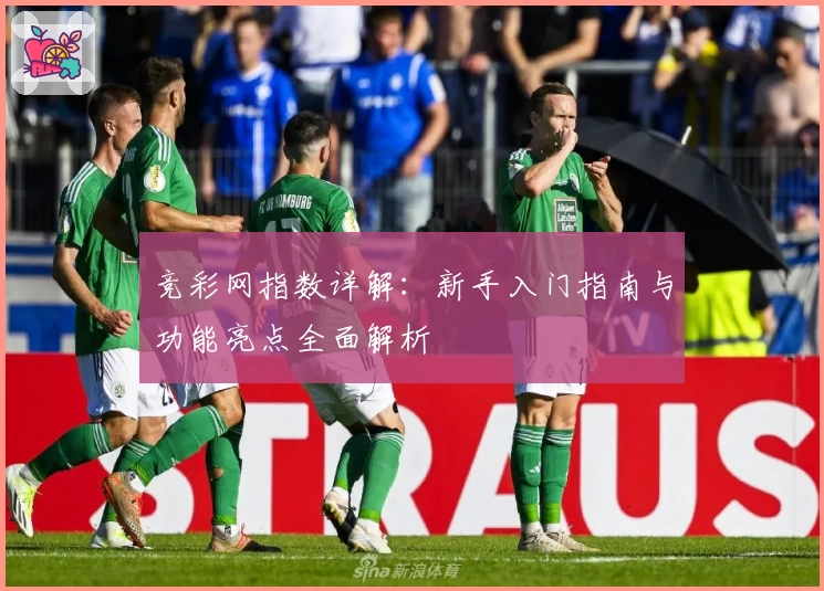 竞彩网指数详解：新手入门指南与功能亮点全面解析